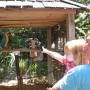 Diana Ingram Photo 23