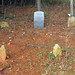 Joyce Stokes Photo 23