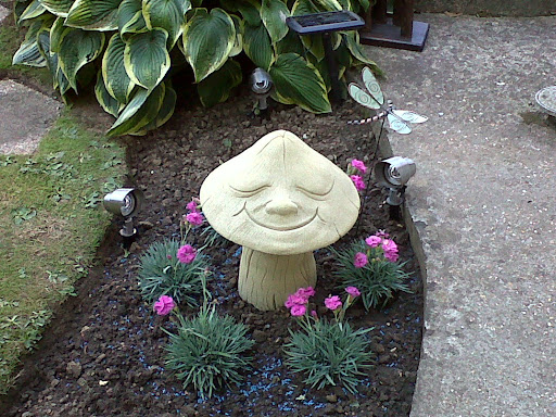 Sharon Hill Photo 14