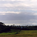 Tanna Deal Photo 4