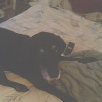 Trudy Kerr Photo 3