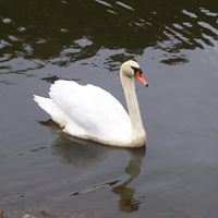 Dawn Pritt Photo 8