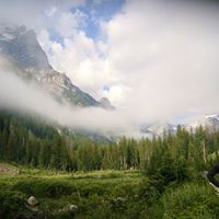 David Swider Photo 13