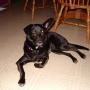 Cathy Skinner Photo 42