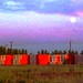 Dorothy Moon Photo 16