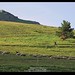Georgia Shepherd Photo 18