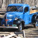 Janet Maples Photo 10