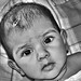 Mohamed Saeed Photo 39