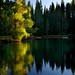 Steven Mather Photo 28