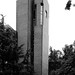 Richard Goddard Photo 24