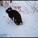 Julie Breed Photo 3