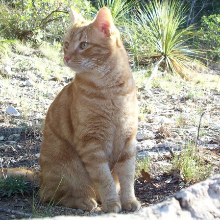 Mary Frierson Photo 11