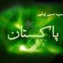 Muhammad Haleem Photo 16