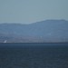 Richard Janson Photo 22