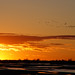 Dawn Rowe Photo 18