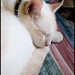 Casey Engel Photo 13
