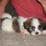 Jeannine Cook Photo 36