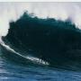 Mike Lane Photo 43