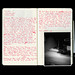 Sarah Fuller Photo 35