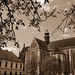 Thomas Mendel Photo 3