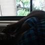 Crystal Timmons Photo 10