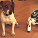 Sony George Photo 7
