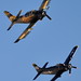 Douglas Wright Photo 26