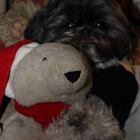 Michelle Slavin Photo 24