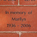 Marilyn Cheney Photo 13