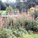 Heather Castle Photo 12