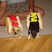 Lisa Killingsworth Photo 10