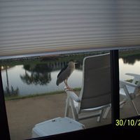 Bonnie Bray Photo 28