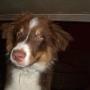 Jason Mcneely Photo 27