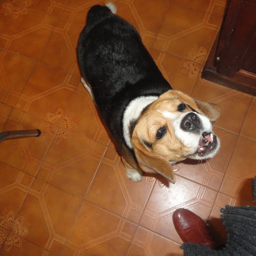 Maximiliano Pacheco Photo 9