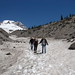 Susan Kutz Photo 19