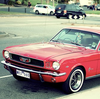 Jai Robinson Photo 21