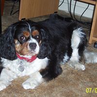 Heidi Eakin Photo 8