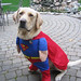 Jake Justice Photo 16