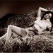 George Hay Photo 34