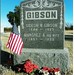Ray Gibson Photo 29
