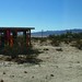 Lucy Rhoades Photo 15
