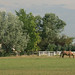 Kelley Wolfe Photo 15
