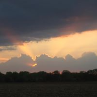 Jerry Hansche Photo 1