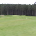 Arthur Hill Photo 20
