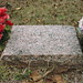 Julia Mcbride Photo 20