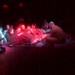 Keith Schnitzler Photo 5