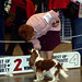 Carol Nickels Photo 4