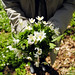 Anna Mathisen Photo 10