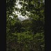 Robin Greenwood Photo 32