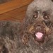 Benny Summers Photo 8